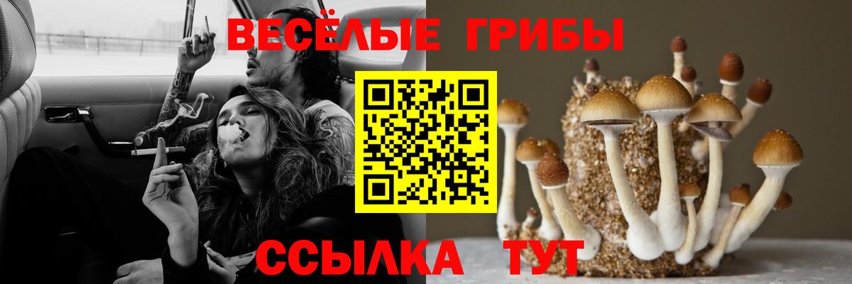 Галлюциногенные грибы ЛСД  Псилоцибиновые грибы Cubensis  Вход с VPN  Североуральск 